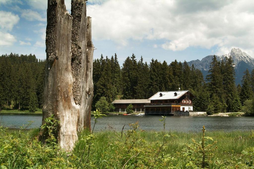 Alpenmotel Saeuling Pinswang Exterior foto
